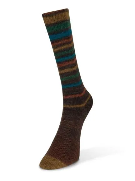 Laines du Nord Infinity Sock