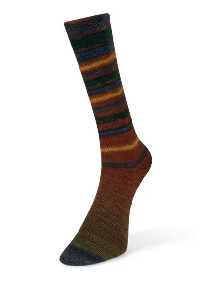 Laines du Nord Infinity Sock